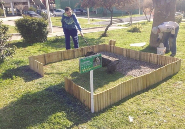 Τουαλέτα σκύλων στο Ελληνικό